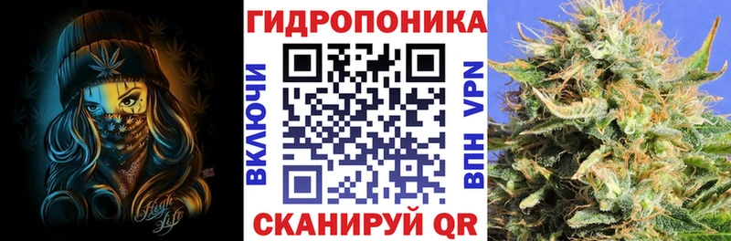 Конопля THC 21%  Кореновск 